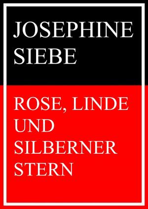 Cover of the book Rose, Linde und Silberner Stern by Hugo Bettauer