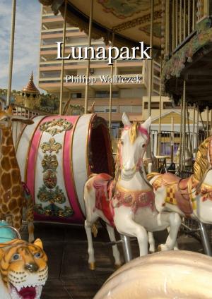 Cover of the book Lunapark by Nihat Kurtulmuş