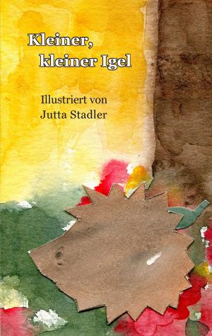 Cover of the book Kleiner, kleiner Igel by Nora Flick