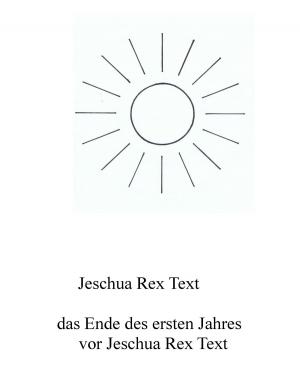 Book cover of Das Ende des ersten Jahres vor Jeschua Rex Text