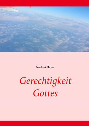 Cover of the book Gerechtigkeit Gottes by Wolfgang Fröhling