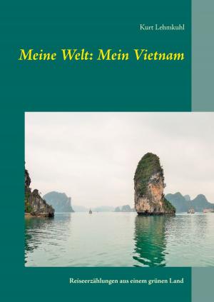 Cover of the book Meine Welt: Mein Vietnam by Heikki Nousiainen
