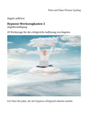 Book cover of Angstbewältigung Hypnose-Werkzeugkasten 3