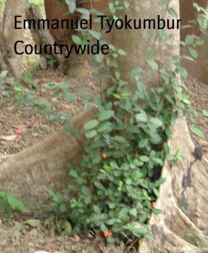 Cover of the book Countrywide by Eyrisha Summers