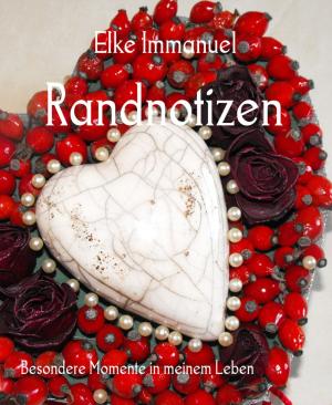 Cover of the book Randnotizen by Noah Daniels