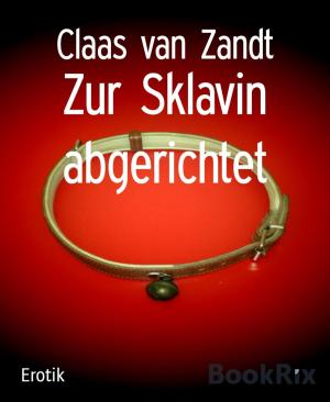 Book cover of Zur Sklavin abgerichtet