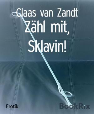 Cover of the book Zähl mit, Sklavin! by Art Norman