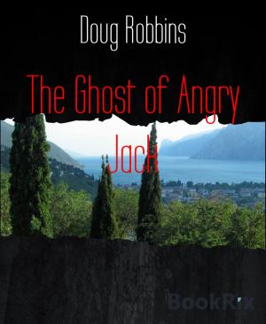 Cover of the book The Ghost of Angry Jack by Edward Connor