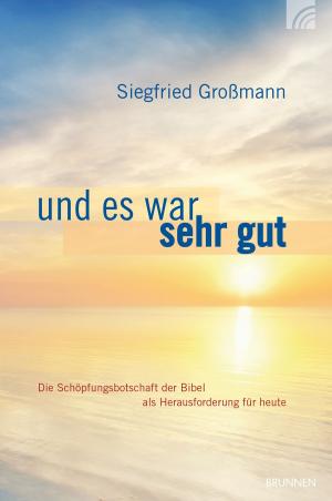 Cover of the book Und es war sehr gut by Abu Atallah, Kent A. Van Til