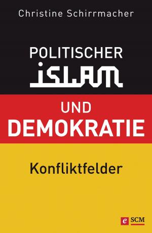 Cover of the book Politischer Islam und Demokratie by Damaris Kofmehl, Demetri Betts