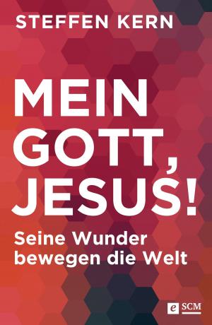 Cover of the book Mein Gott, Jesus! by Reggie Anderson