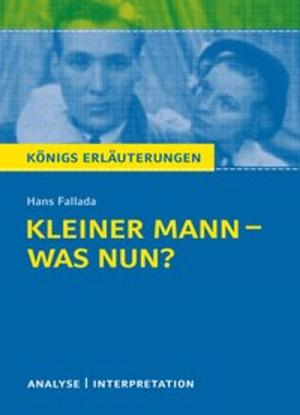 Cover of the book Kleiner Mann – was nun? by Franz Kafka