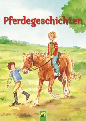 Cover of the book Pferdegeschichten by Dr. Heike Herrmann, Dr. med. Arne Hillienhoff