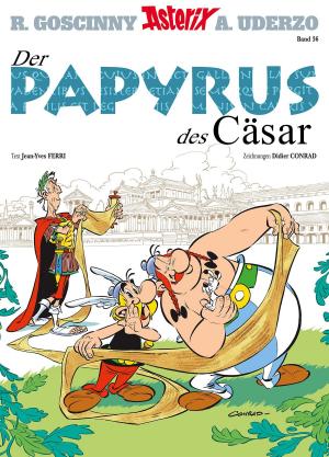 Cover of the book Asterix 36 by Stefano Ambrosio, Giorgio Pezzin, Rodolfo Cimino