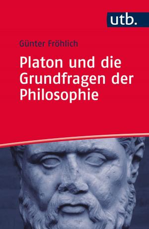 Cover of Platon und die Grundfragen der Philosophie