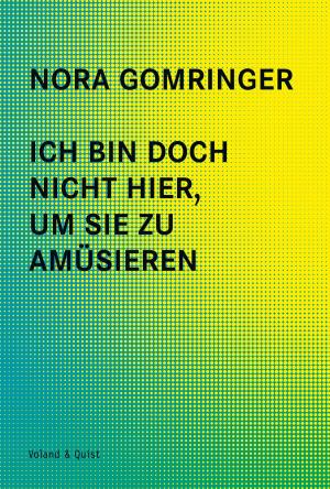 Cover of the book Ich bin doch nicht hier, um Sie zu amüsieren by Ahne