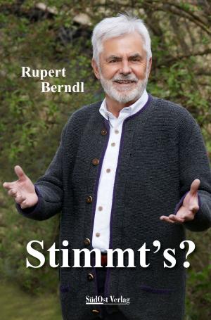 Cover of the book Stimmt's? by Bill Geist