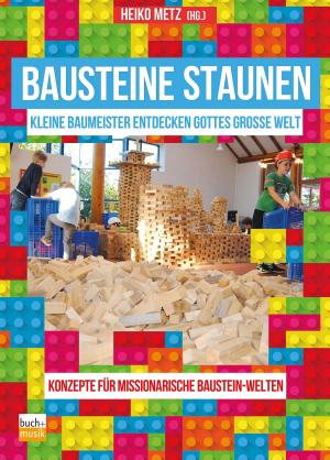 Cover of the book Bausteine staunen by Frank E. W. Ortmann