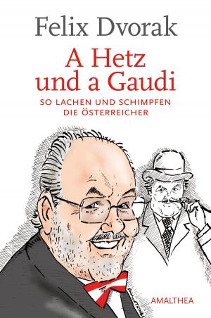Cover of the book A Hetz und a Gaudi by Rotraud A. Perner