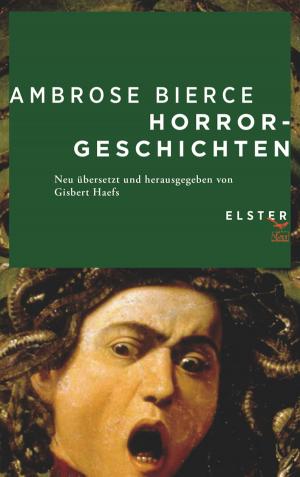 Cover of the book Horrorgeschichten by Andreea Pryde