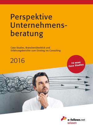Cover of the book Perspektive Unternehmensberatung 2016 by Lew Sauder
