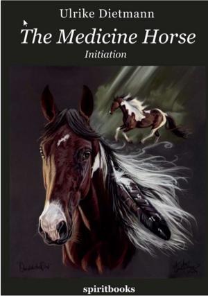Cover of the book The Medicine Horse by Attilio