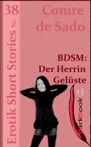 Cover of the book BDSM: Der Herrin Gelüste by Kenny Wright