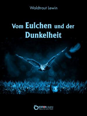 Cover of the book Vom Eulchen und der Dunkelheit by Brigitte Birnbaum