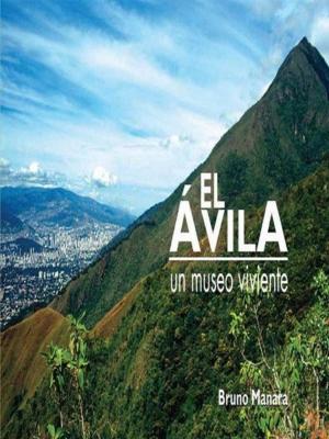Cover of the book El Ávila by Caroline Taylor