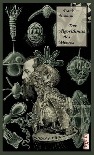 Cover of the book Der Algorithmus des Meeres by Peter Hohmann, Harald Giersche