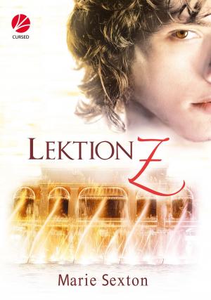 Book cover of Lektion Z