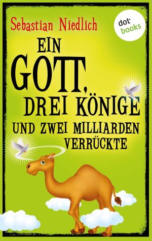 Cover of the book Ein Gott, drei Könige und zwei Milliarden Verrückte by Jesse Spriggs