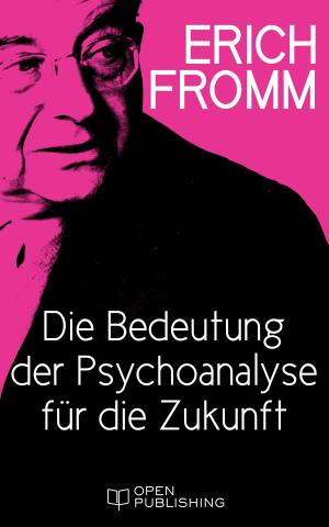 Book cover of Die Bedeutung der Psychoanalyse für die Zukunft