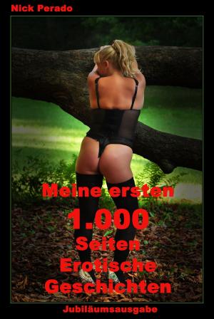 Cover of the book Meine ersten 1.000 Seiten erotische Geschichten by Tara Jones