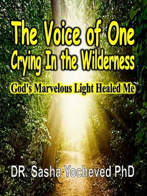 Book cover of The Voice of One Crying In the Wilderness