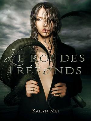 Cover of the book Le roi des tréfonds by Jessica Kittner