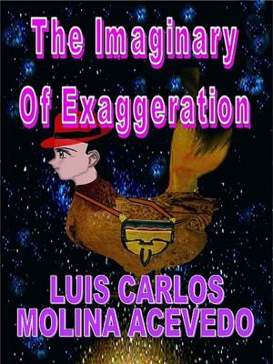 Cover of the book The Imaginary of Exaggeration by Oliver Frances