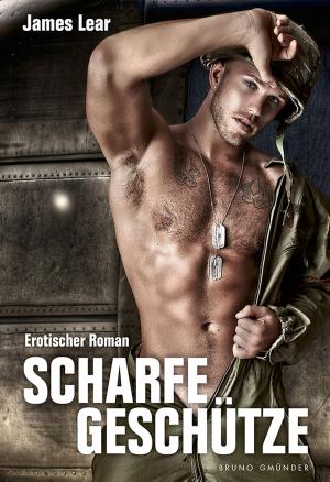 Cover of the book Scharfe Geschütze by Briand Bedford