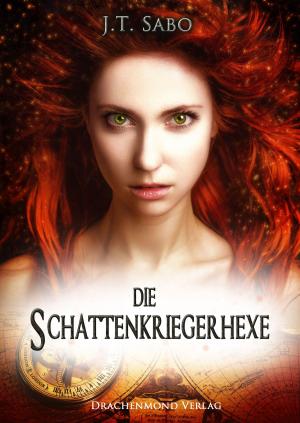 Cover of the book Die Schattenkriegerhexe by Laurie Roma