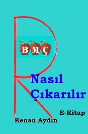 Cover of the book R Nasıl Çıkarılır by TJ Spencer