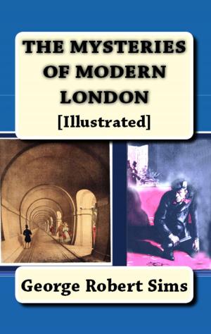 Book cover of Mysteries of Modern London
