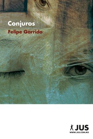 Cover of the book Conjuros by César Aira