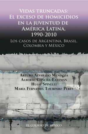 Cover of the book Vidas truncadas by Aaron Louis Rosenberg