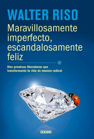 Cover of the book Maravillosamente imperfecto by Willem Martens
