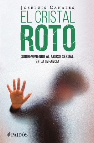 Cover of the book El cristal roto by Noam Chomsky, Peter Mitchell, John Schoeffel