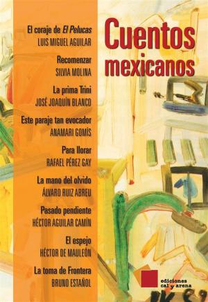 Cover of the book Cuentos mexicanos by Bruno Estañol