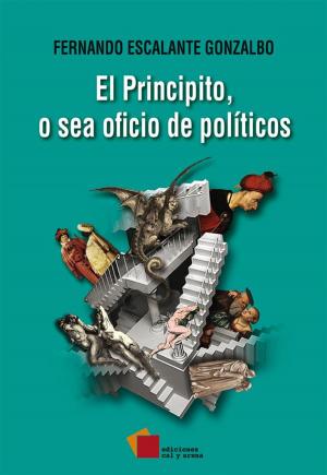 Cover of the book El Principito, o sea oficio de políticos by Carmen Boullosa