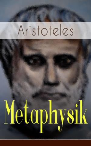 Book cover of Metaphysik
