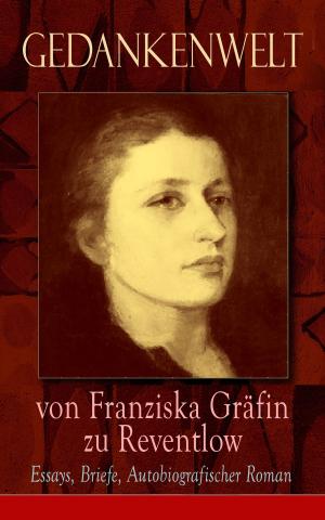 bigCover of the book Gedankenwelt von Franziska Gräfin zu Reventlow: Essays, Briefe, Autobiografischer Roman by 