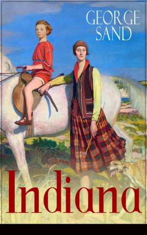 Cover of the book Indiana by Rob Mancebo